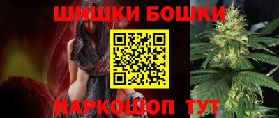 крисы Кунгур