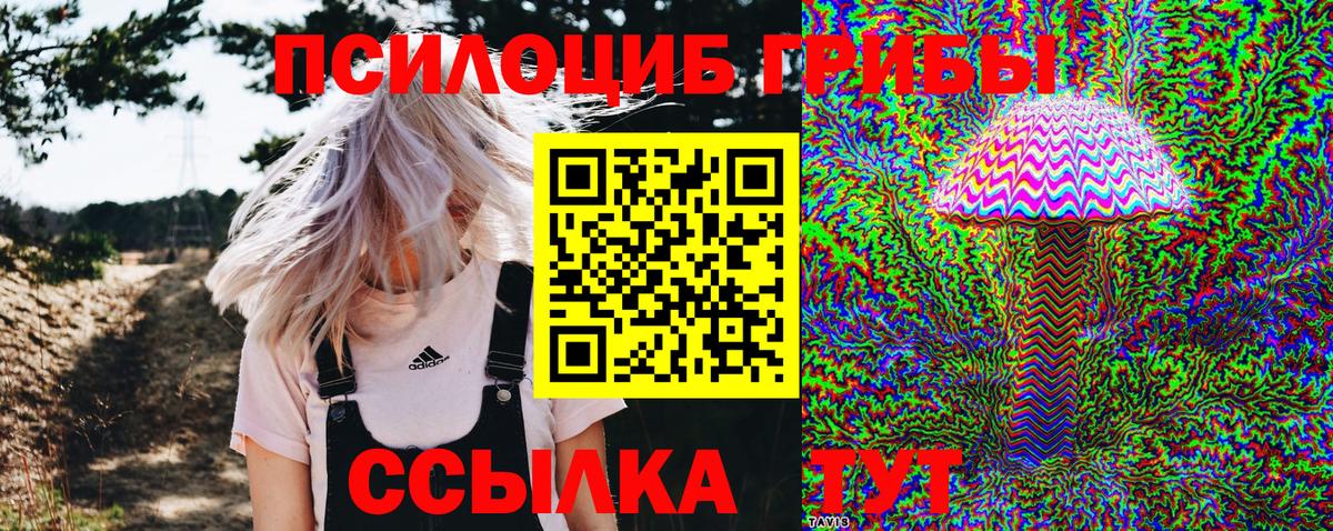 Псилоцибиновые грибы MAGIC MUSHROOMS Биробиджан