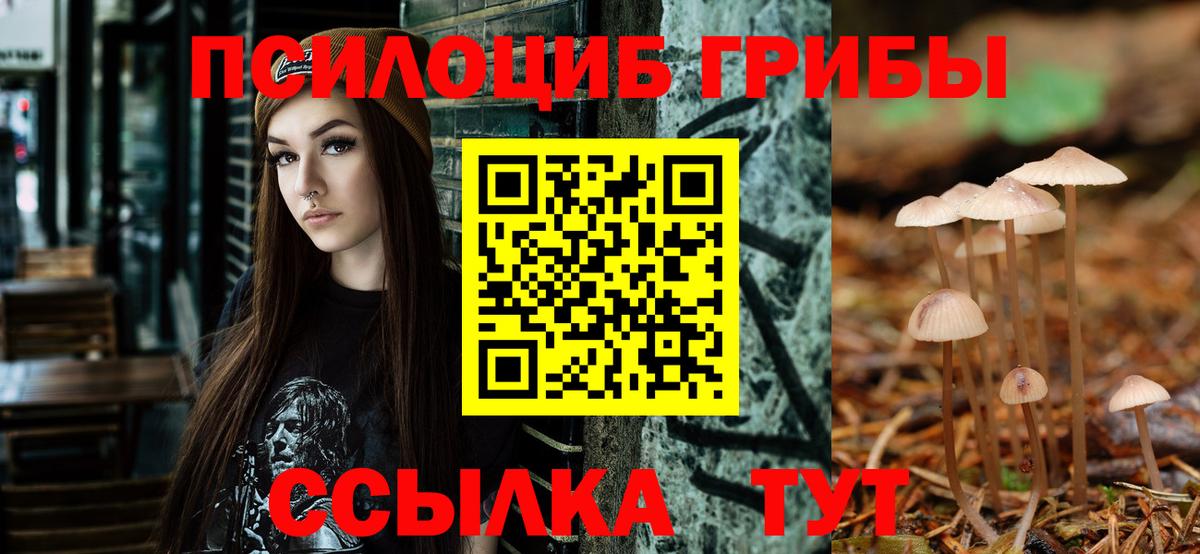 А ПВП Биробиджан
