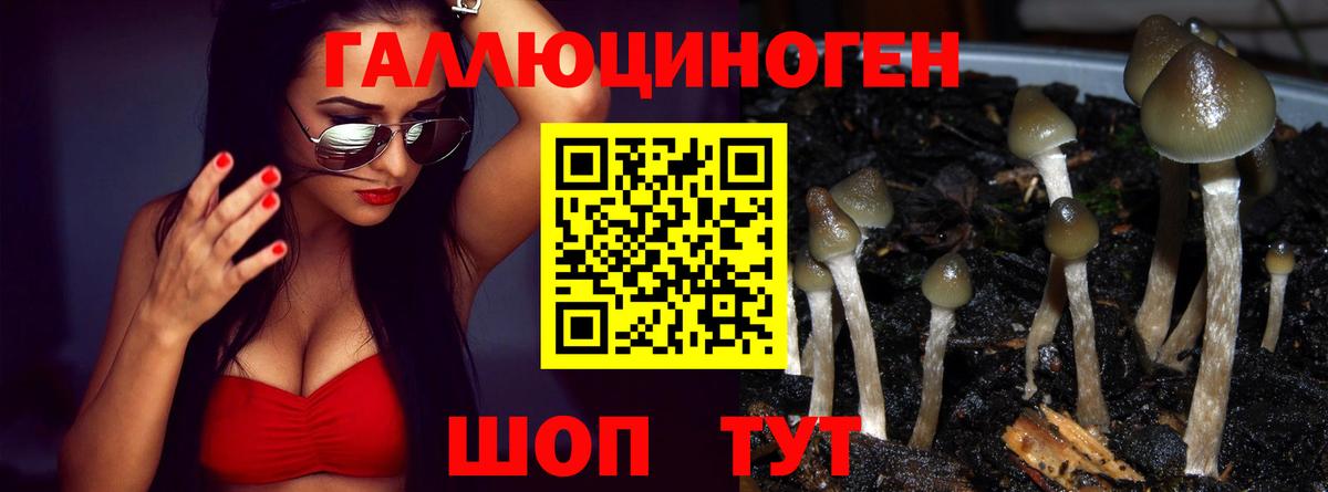 где найти   Вход с VPN  Биробиджан  Галлюциногенные грибы GOLDEN TEACHER  Галлюциногенные грибы Magic Shrooms 